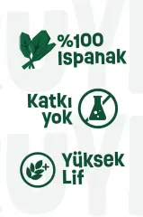 KURU YEŞİL ISPANAK TOZU 100 GR